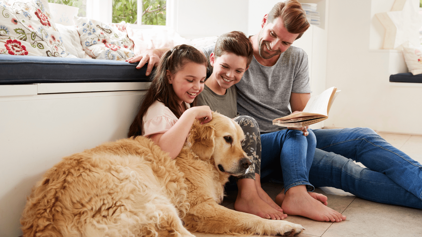 Polizza-animali-domestici-e-primavera